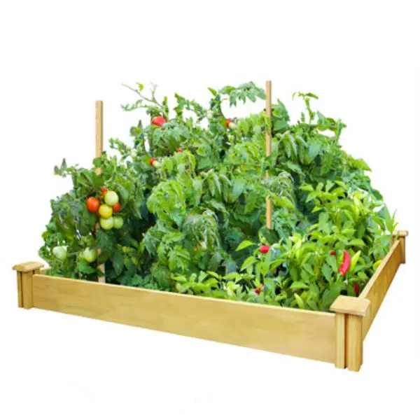 Miracle-Gro RCMG4S4B Cedar Raised Garden Kit 4 x 4 x 5.5 Inches