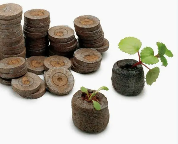 Jiffy Plant Seed Starter Peat Pellets 42mm 100-Count