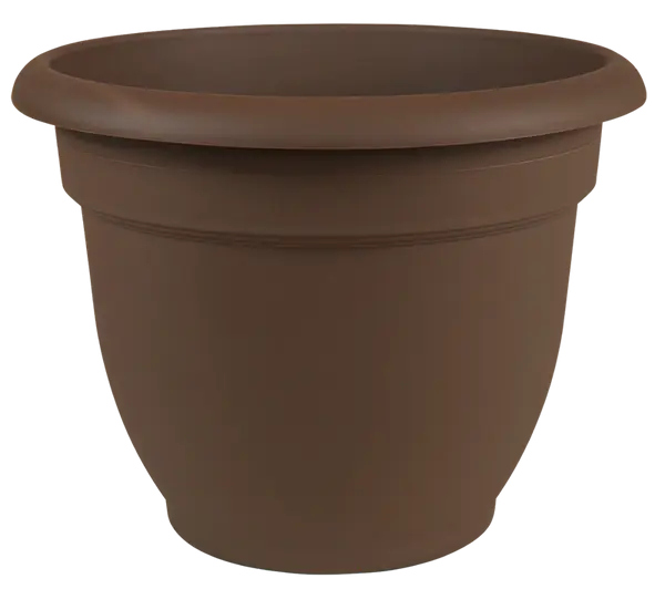 Bloem 20-56312CH Ariana Self Watering Plastic Planter Chocolate 12 Inch
