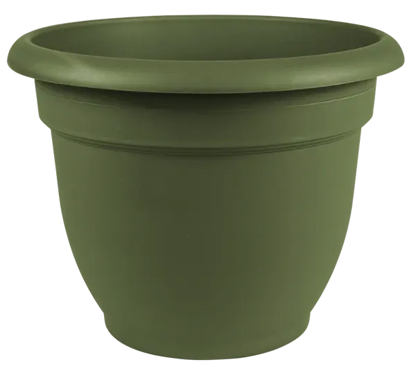 Bloem 20-56410 Ariana Self Watering Plastic Planter Living Green 10 Inch