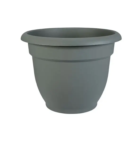 Bloem 20-56412 Ariana Self Watering Plastic Planter Thyme Green 12 Inch