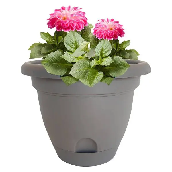 Bloem LP1060 Lucca Self-Watering Plastic Planter Peppercorn Dark Brown 10"