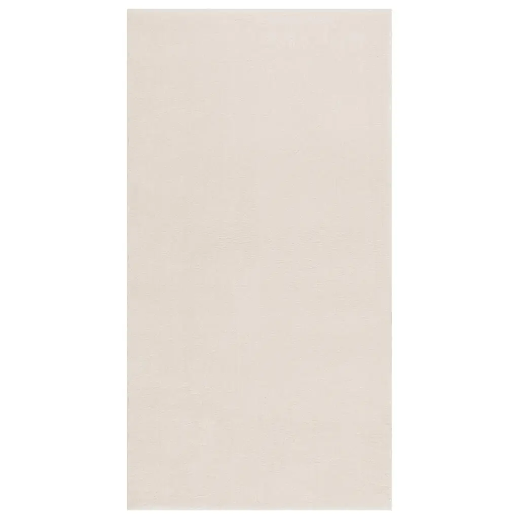 Shaggy Rug Cream White 4x6 Feet Soft Polyester Living Room Carpet
