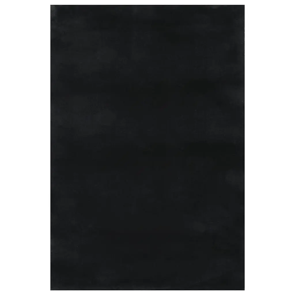 Washable Rug Soft Shaggy Black 63x90.6 Inches Anti Slip Living Room Carpet