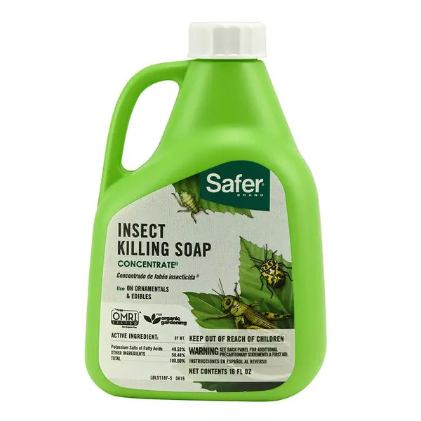 Safer 5118 16 Oz Insect Killing Soap Concentrate Garden Pest Control
