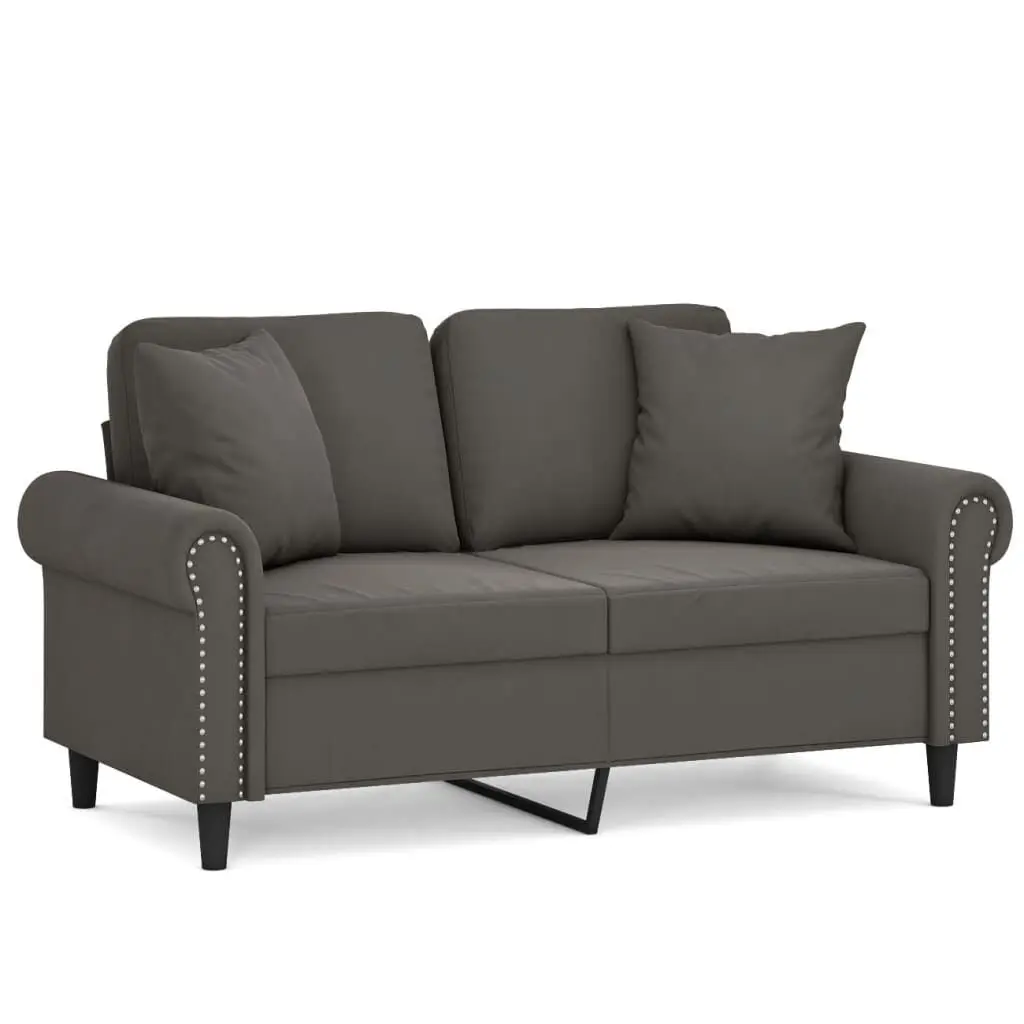 2-Seater Sofa Pillows and Cushions Dark Gray 47.2 Inches Velvet Living Room Furniture