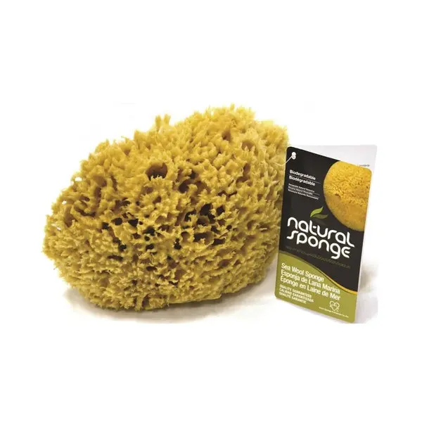 Armaly Proplus 68000 Seawool Sponge 6 to 7 Inch Gold Cleaning Tool