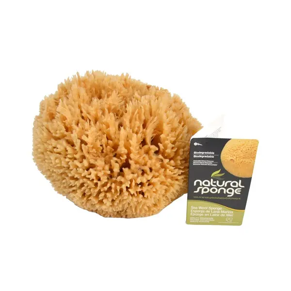 Armaly Proplus 81000 Seawool Sponge 5 to 6 Inch Natural Cleaning Tool