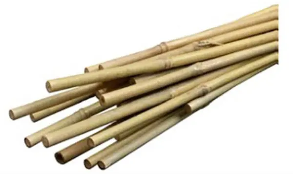 Miracle-Gro SMG12029 Bamboo Plant Stakes 2 Feet Tall 12-Pack Garden Support Small Plants