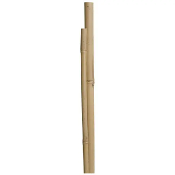 Miracle-Gro SMG12031W Natural Bamboo Stakes 4 Feet 12-Pack Plant Support