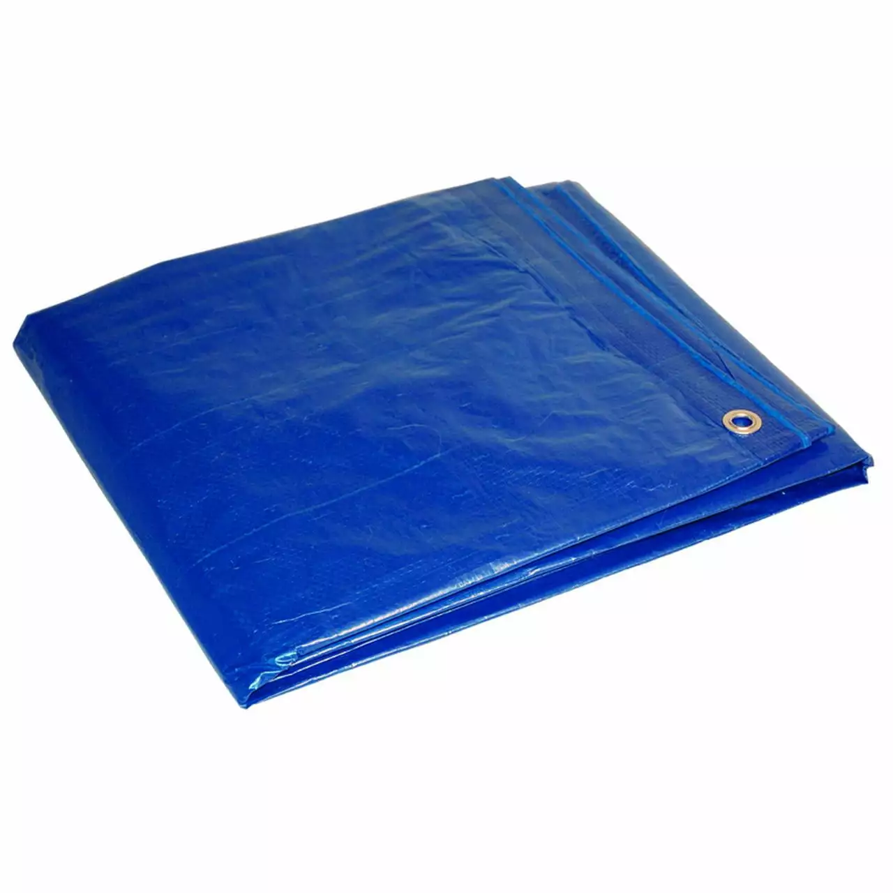 Dry Top 20 ft x 30 ft Medium Duty Blue Polyethylene Tarp Waterproof Cover Foremost