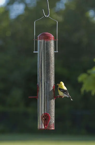 Audubon Dual-Port Wild Bird Finch Tube Feeder Multi-Colored 13 Inch