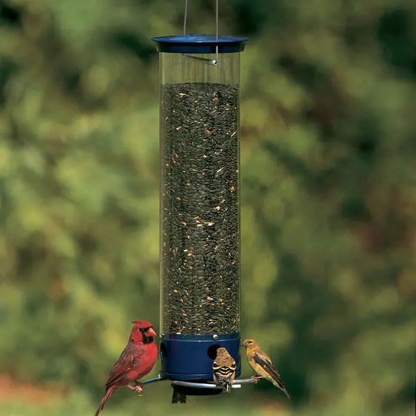 Droll Yankees YCPW-180 Whipper Sunflower Bird Feeder 4-Port Wild Birds
