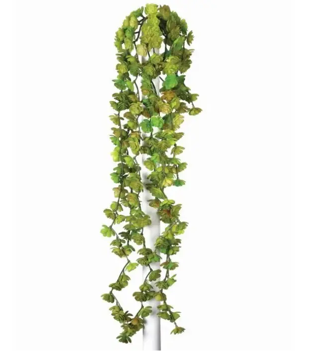 Fresh Touch Fountain Succulent Vine, Olive