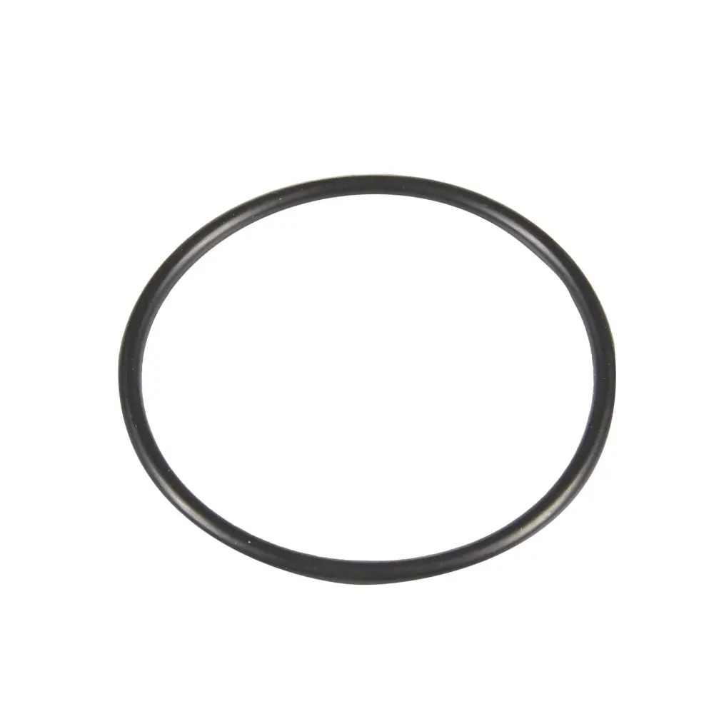 Hayward Salt Chlorinator O-Ring Seal GLX-UNION-ORING/SX200Z3 HAY/2-230 GENO Water Gardens