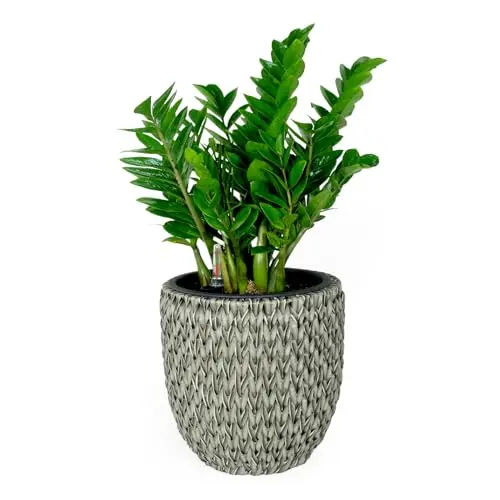 14.6 Inch Self Watering Wicker Planter Gray Round Garden Decoration Pot dty home