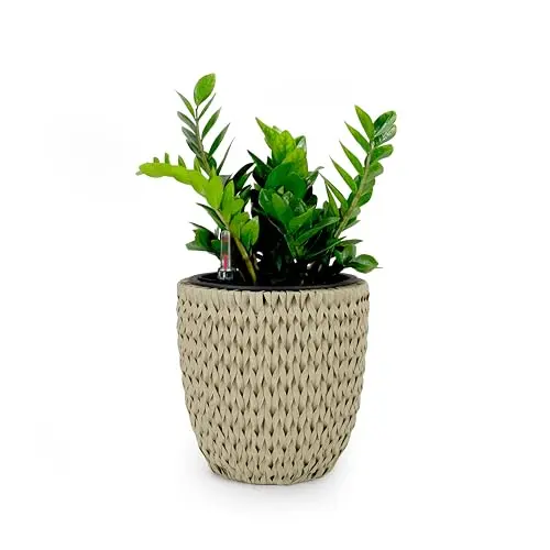 14.6 Inch Self Watering Wicker Planter Beige Round Garden Decor Pot dty home